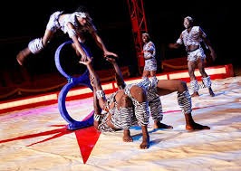 Acrobats & Contortionists